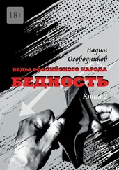 Вадим Огородников - Беды российского народа. Бедность. Книга 2