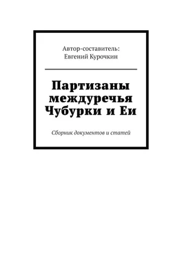 Евгений Курочкин Партизаны междуречья Чубурки и Еи. Сборник документов и статей обложка книги