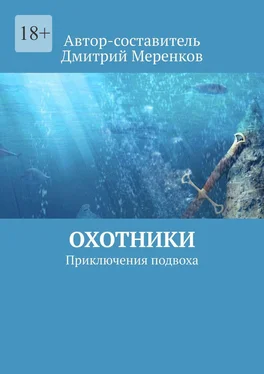 Дмитрий Меренков Охотники. Приключения подвоха обложка книги