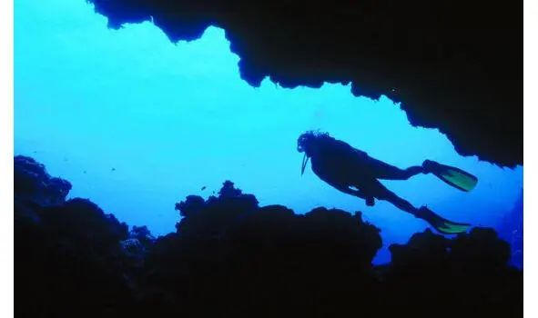 Подводный мир и человек складываешься пополам голова идёт вниз ноги в - фото 1