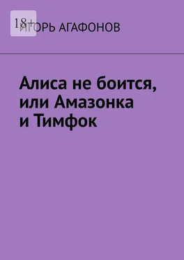 Игорь Агафонов Алиса не боится, или Амазонка и Тимфок обложка книги