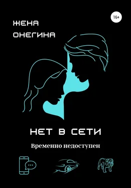 Женя Онегина Нет в сети обложка книги