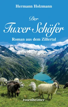 Hermann Holzmann Der Tuxer Schäfer обложка книги