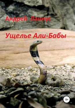 Ланиус Андрей Ущелье Али-Бабы обложка книги