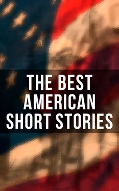 Louisa May Alcott The Best American Short Stories обложка книги
