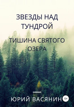 Юрий Васянин Звезды над тундрой. Тишина Святого озера обложка книги