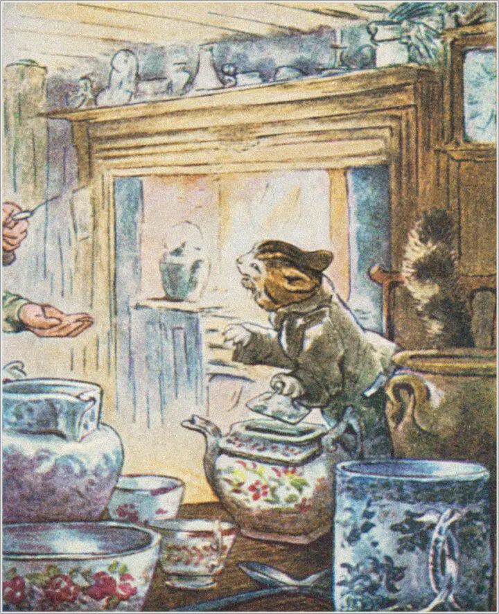 But Simpkin hid a little parcel privately in the teapot and spit and growled - фото 68
