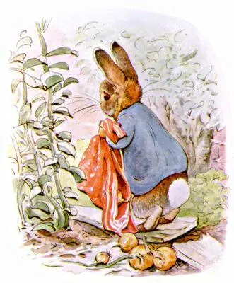 Peter did not eat anything he said he should like to go home Presently he - фото 95