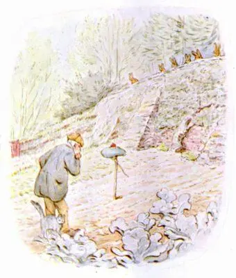 When Mr McGregor returned about half an hour later he observed several things - фото 106