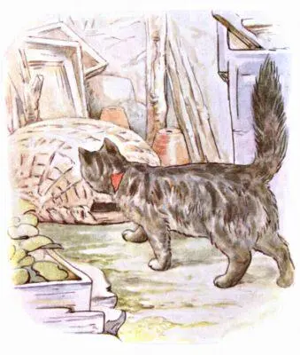 The cat got up and stretched herself and came and sniffed at the basket - фото 100