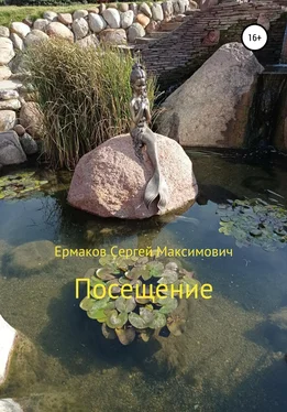 Сергей Ермаков Посещение обложка книги