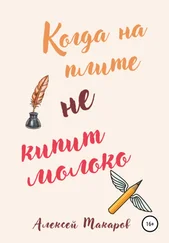 Алексей Макаров - Когда на плите не кипит молоко