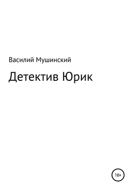 Василий Мушинский Детектив Юрик обложка книги