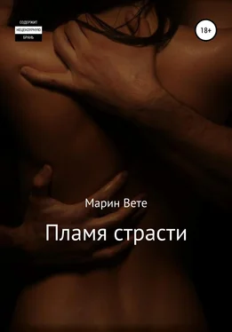 Марин Вете Пламя страсти обложка книги