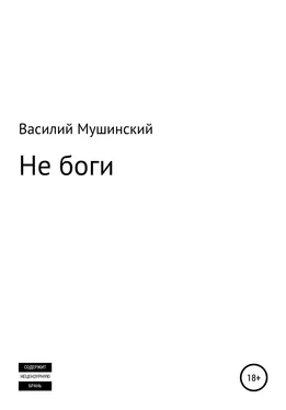 Василий Мушинский Не боги обложка книги