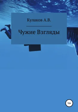 Антон Кулаков Чужие Взгляды обложка книги