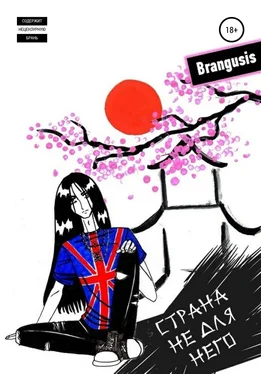 Brangusis Страна не для него обложка книги