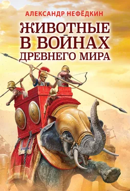 Александр Нефёдкин Животные в войнах древнего мира обложка книги