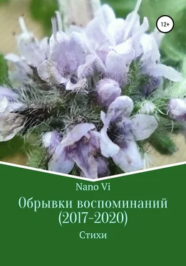 Nano Vi Обрывки воспоминаний (2017-2020) обложка книги