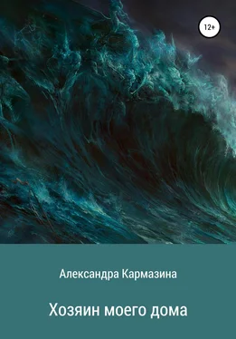 Александра Кармазина Хозяин моего дома обложка книги