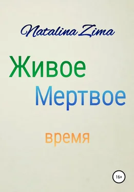 Natalina Zima Живое мертвое время обложка книги