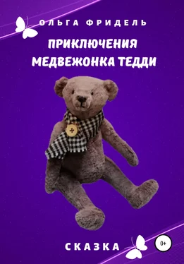 Ольга Фридель Приключения медвежонка Тедди