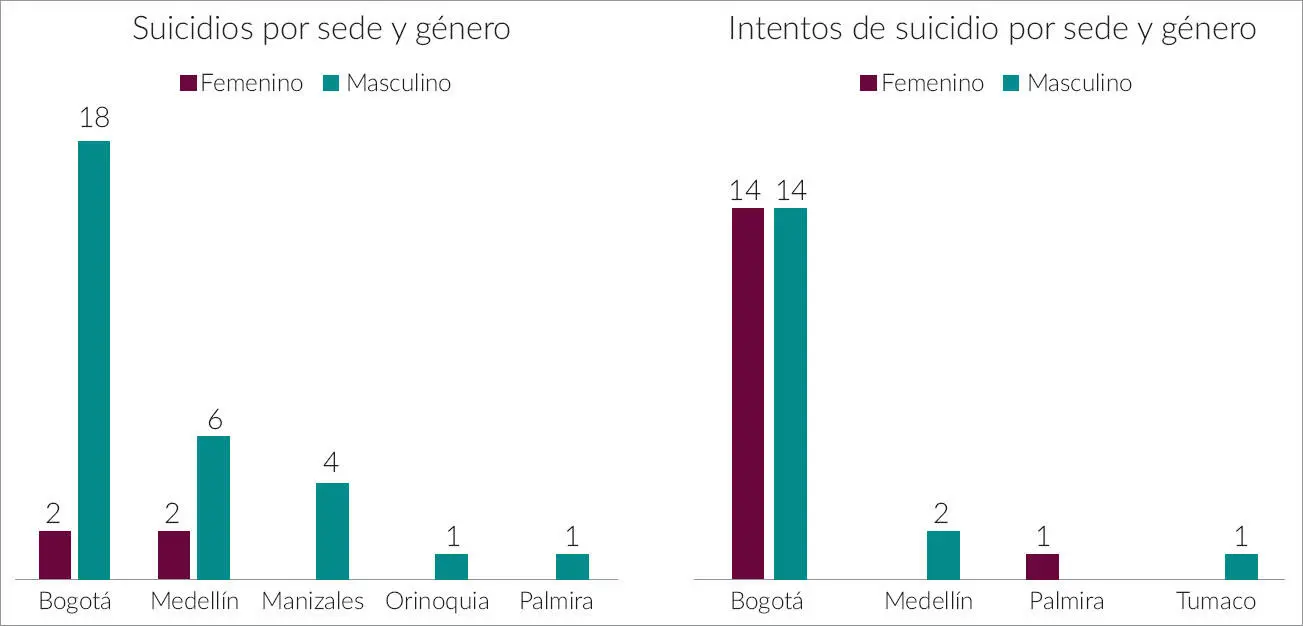 Fuente elaboración propia a partir de los datos suministrados por la División - фото 5