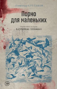 Александр Слепаков Порно для маленьких обложка книги