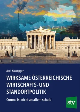 Axel Kassegger Wirksame österreichische Wirtschafts- und Standortpolitik обложка книги