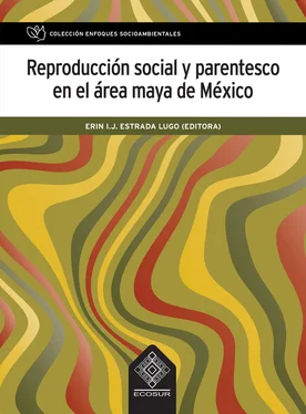 Georgina Sánchez Ramírez Reproducción social y parentesco en el área maya de México обложка книги
