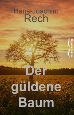 Hans-Joachim Rech Der Güldene Baum обложка книги