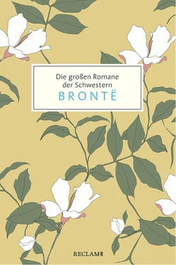 Anne Bronte Die großen Romane der Schwestern Brontë обложка книги