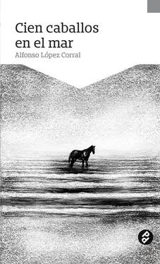 Alfonso López Corral Cien caballos en el mar обложка книги