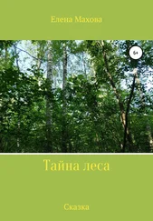 Елена Махова - Тайна леса