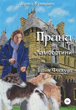 Лариса Куницына Принц на «Ламборгини» обложка книги