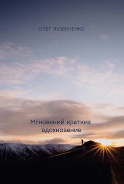 Олег Лубенченко Мгновений кратких вдохновение обложка книги