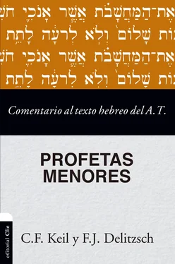 C. Keil Comentario al texto hebreo del Antiguo Testamento - Profetas Menores обложка книги