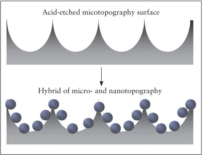 Fig 212 A method has been developed for fabricating micronano hybrid - фото 38