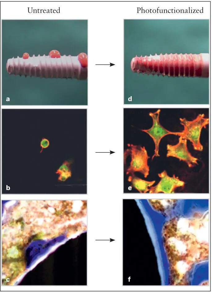 Fig 215 a to c Aged untreated implant d to f Implant after - фото 41