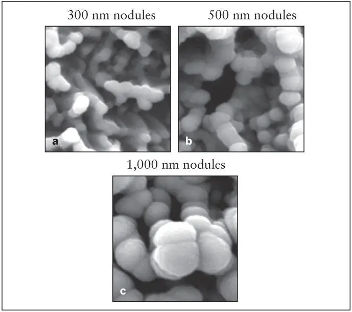 Fig 213 a to c Three different sizes of nanonodules of titanium created on - фото 39