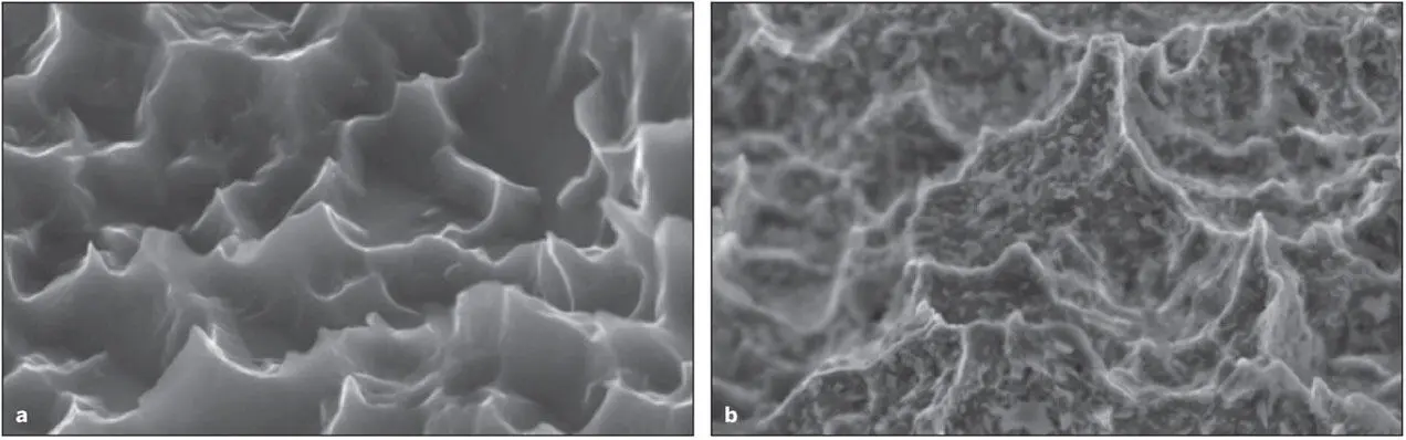 Fig 210 a A DAE titanium implant surface b A DAE titanium implant surface - фото 36