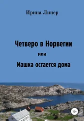 Ирина Линер - Четверо в Норвегии, или Машка остается дома