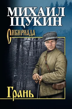 Михаил Щукин Грань обложка книги
