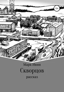 Марк Ивин Скворцов обложка книги