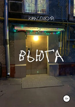 Квасецкий Вьюга обложка книги