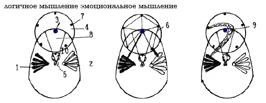 Рис 5 Конструкция действия лобного сознания Энергетический блок сознания - фото 8