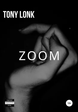Tony Lonk ZOOM обложка книги