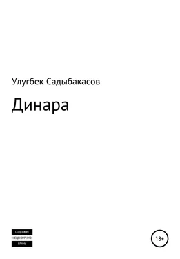 Улугбек Садыбакасов Динара обложка книги