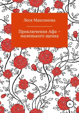Леся Максимова Приключения Афа – маленького щенка обложка книги