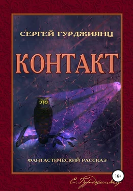 Сергей Гурджиянц Контакт обложка книги